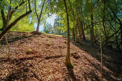 10608 Canyon Road, Forestville, CA 95436 - Photo 7