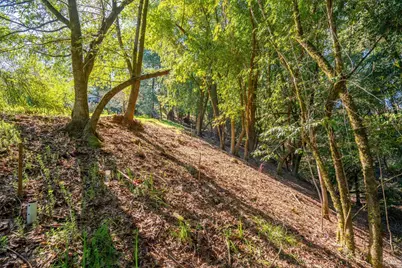10608 Canyon Road, Forestville, CA 95436 - Photo 5