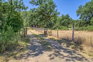 12790 Pine Ave, Potter Valley, CA 95469 - Photo 3