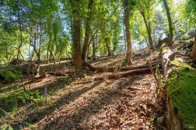 10612 Canyon Road, Forestville, CA 95436 - Photo 13