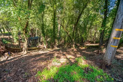 10612 Canyon Road, Forestville, CA 95436 - Photo 5