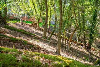 10612 Canyon Road, Forestville, CA 95436 - Photo 9