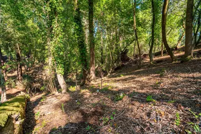 10612 Canyon Road, Forestville, CA 95436 - Photo 11