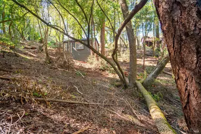 10612 Canyon Road, Forestville, CA 95436 - Photo 15