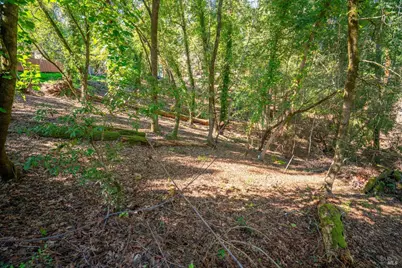 10612 Canyon Road, Forestville, CA 95436 - Photo 7