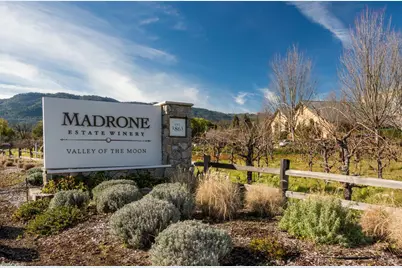825 Woodside Aka Madrone Road, Glen Ellen, CA 95442 - Photo 45