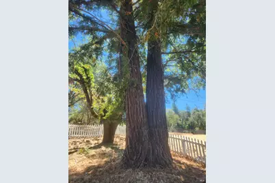 22620 Eastside Road, Willits, CA 95490 - Photo 9