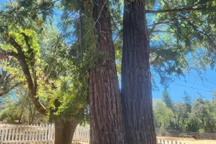 22620 Eastside Rd, Willits, CA 95490 - Photo 9