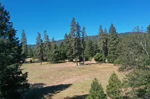 48700 Hwy 101 Hwy, Laytonville, CA 95454 - Photo 37