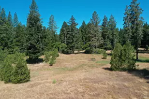 48700 Hwy 101 Hwy, Laytonville, CA 95454 - Photo 33