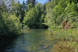 48700 Hwy 101 Hwy, Laytonville, CA 95454 - Photo 31