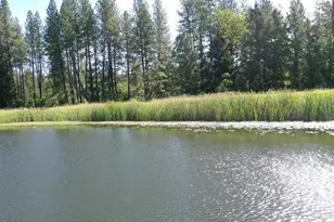 48700 Hwy 101 Hwy, Laytonville, CA 95454 - Photo 25