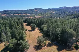 48700 Hwy 101 Hwy, Laytonville, CA 95454 - Photo 33