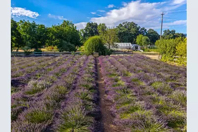 4550 Soda Bay Road, Kelseyville, CA 95451 - Photo 71