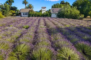 4550 Soda Bay Rd, Kelseyville, CA 95451 - Photo 73