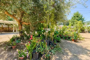 442 N Jefferson St, Cloverdale, CA 95425 - Photo 11