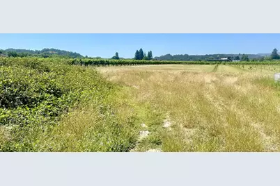 451 W North Street, Healdsburg, CA 95448 - Photo 15
