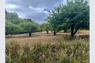 237 Gold Ridge Road, Sebastopol, CA 95472 - Photo 1
