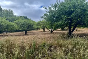 237 Gold Ridge Rd, Sebastopol, CA 95472 - Photo 1