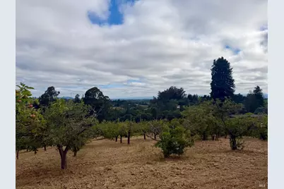 237 Gold Ridge Road, Sebastopol, CA 95472 - Photo 9