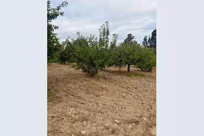237 Gold Ridge Road, Sebastopol, CA 95472 - Photo 17