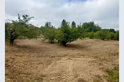 237 Gold Ridge Road, Sebastopol, CA 95472 - Photo 13