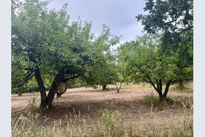 237 Gold Ridge Road, Sebastopol, CA 95472 - Photo 3