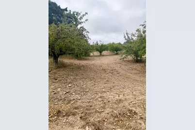 237 Gold Ridge Road, Sebastopol, CA 95472 - Photo 15