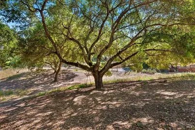 1704 Hurlbut Lane, Sebastopol, CA 95472 - Photo 39