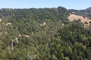 38401 Upper Rd, Willits, CA 95490 - Photo 19
