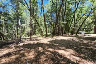 78601 Mina Rd, Covelo, CA 95428 - Photo 5