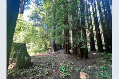 475 East Austin Creek Road, Cazadero, CA 95421 - Photo 9