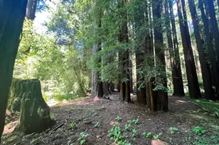 475 E Austin Creek Rd, Cazadero, CA 95421 - Photo 9