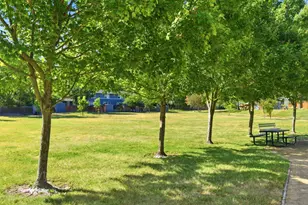 20 Livingston Ct, Novato, CA 94949 - Photo 41