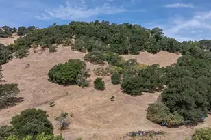 155 Riordan Ln, Napa, CA 94558 - Photo 1