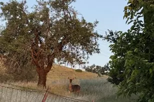 6993 Steiger Hill Rd, Vacaville, CA 95688 - Photo 47