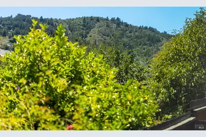 107 Pepper Avenue, Larkspur, CA 94939 - Photo 41