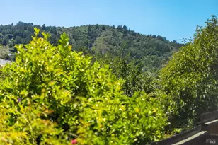 107 Pepper Ave, Larkspur, CA 94939 - Photo 41