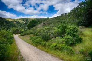 30 Escondida Ln, Lagunitas, CA 94938 - Photo 49