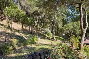 30 Escondida Ln, Lagunitas, CA 94938 - Photo 39