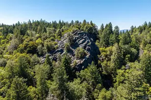 850 Davidson Ln, Laytonville, CA 95454 - Photo 29