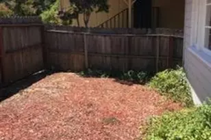 8130 Park Ave, Forestville, CA 95436 - Photo 35