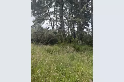 241 Alder Road, Bolinas, CA 94924 - Photo 3