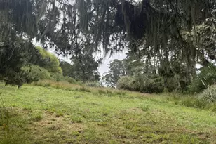 241 Alder Rd, Bolinas, CA 94924 - Photo 1