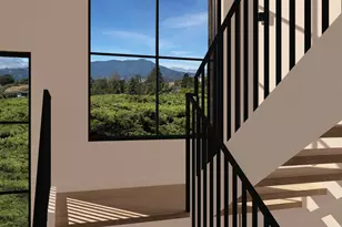 81 Mt Tiburon Rd, Tiburon, CA 94920 - Photo 13