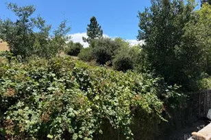 6 Palestrina Ct, American Canyon, CA 94503 - Photo 29