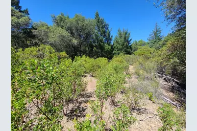 0 0 Pigeon Ridge Road, Covelo, CA 95428 - Photo 15