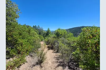 0 0 Pigeon Ridge Road, Covelo, CA 95428 - Photo 17
