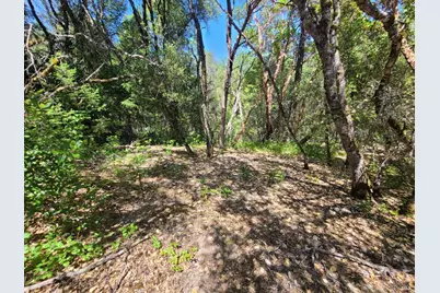 0 0 Pigeon Ridge Road, Covelo, CA 95428 - Photo 11