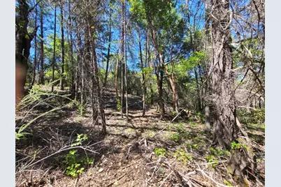 0 0 Pigeon Ridge Road, Covelo, CA 95428 - Photo 3